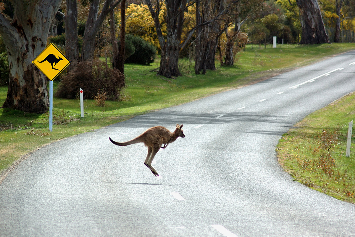 Campervan Hire Australia