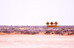 campervan-hire-nullarbor