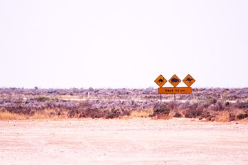 campervan-hire-nullarbor