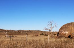 campervan-hire-canberra
