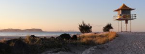 Gold Coast Campervan Hire